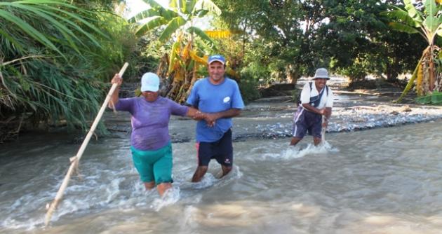 Río Casma se desborda nuevamente y arrasa con 5 hectáreas de frutales para exportación