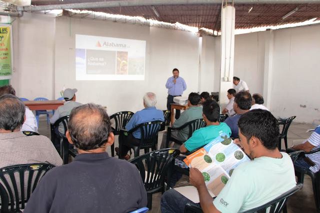 Anuncian una serie de capacitaciones en el sector agrícola en Casma