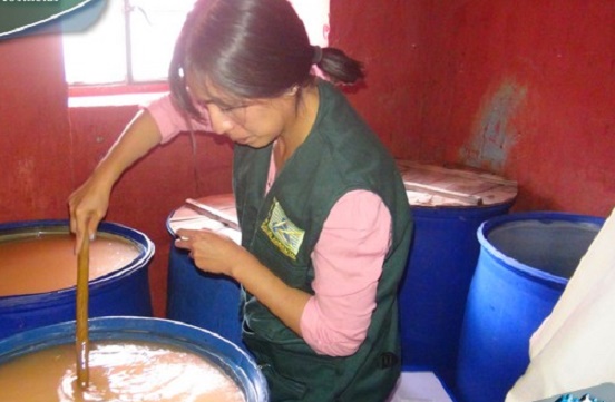 Huaylas: Municipio y sector Salud inspeccionaron locales donde elaboran “chicha de jora”