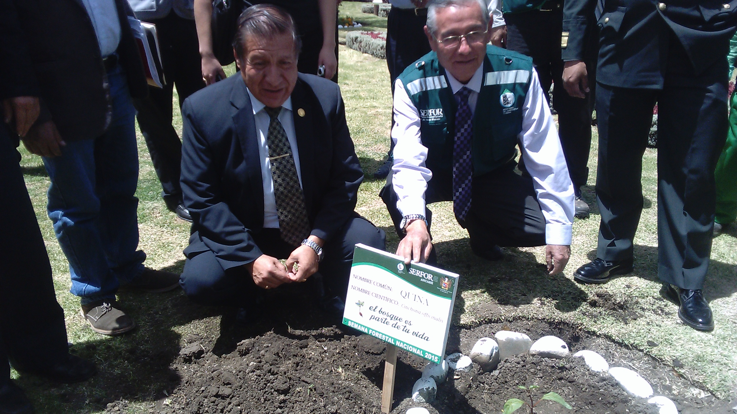 Huaraz: inician Semana Forestal con siembra de árbol de la quina