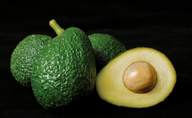 Sembrarán más de 100 000 plantones de palta Hass en Bolognesi