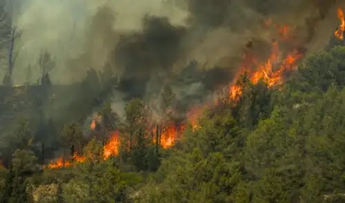 Áncash: autoridades indican que incendios forestales serían provocados 