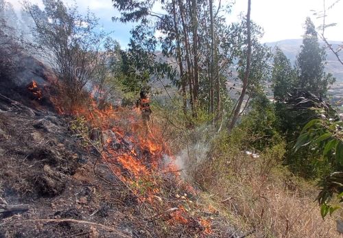 Áncash: tres incendios forestales arrasan cobertura natural y amenaza comunidades