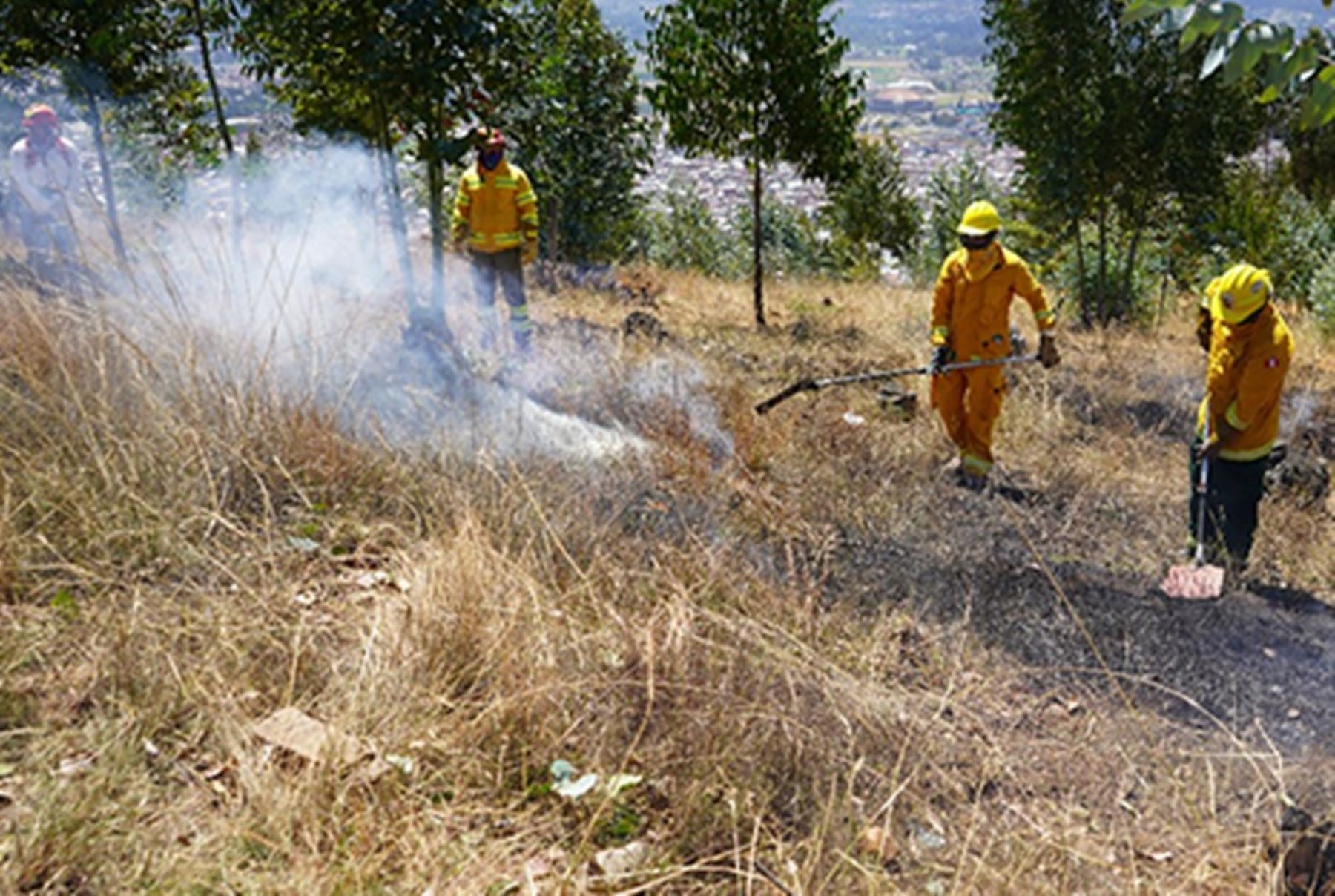 Registran 5 incendios forestales en Áncash, Cusco, Huancavelica, Lima y Piura