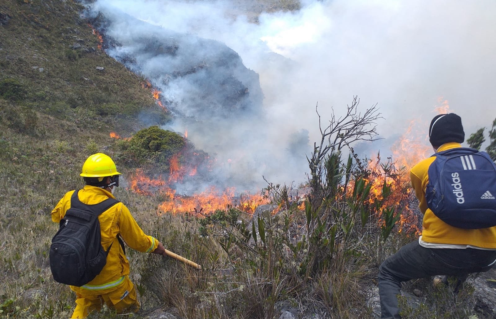 Controlan cuatro incendios forestales en distritos situados en Áncash y Apurímac