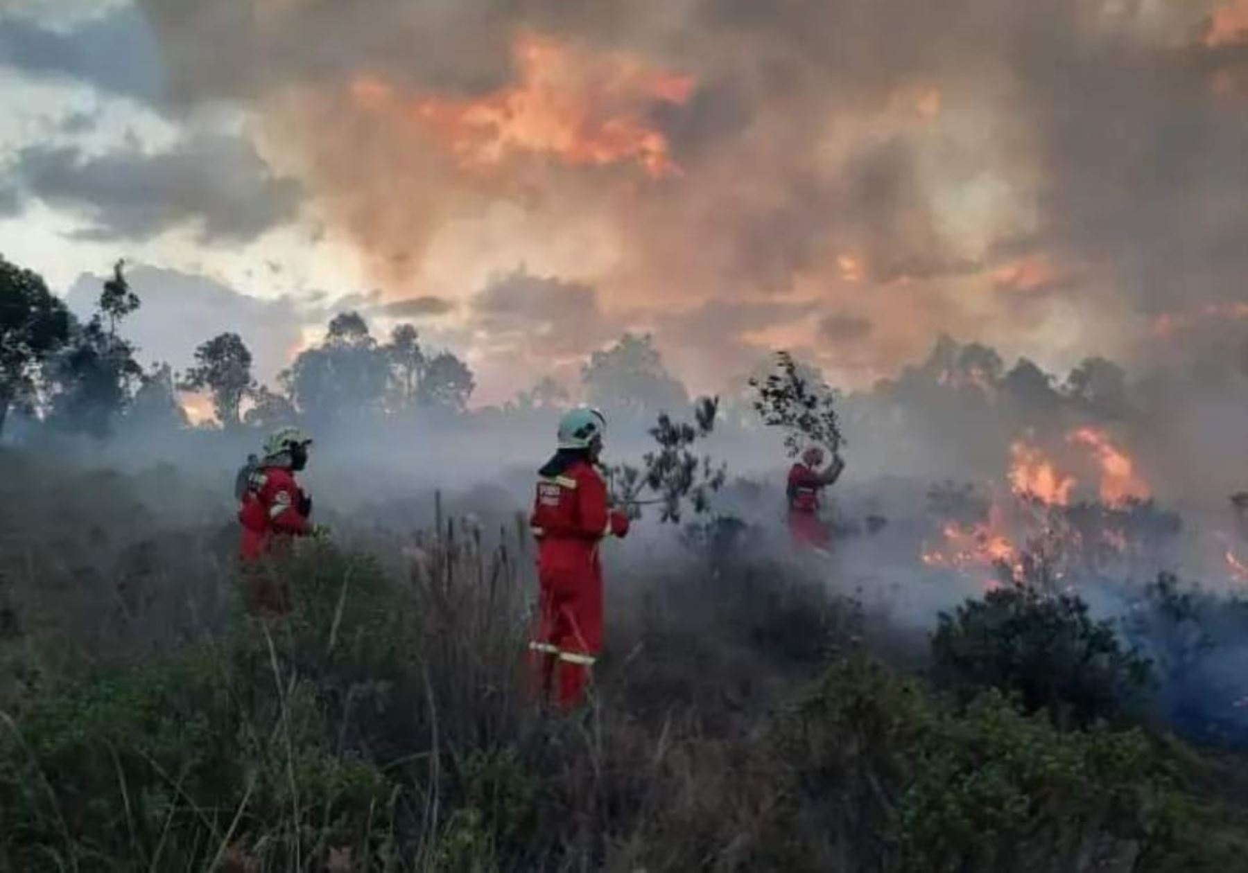  Brigadistas extinguen ocho incendios forestales en Áncash, Apurímac, Cajamarca, Huánuco, Pasco y Puno