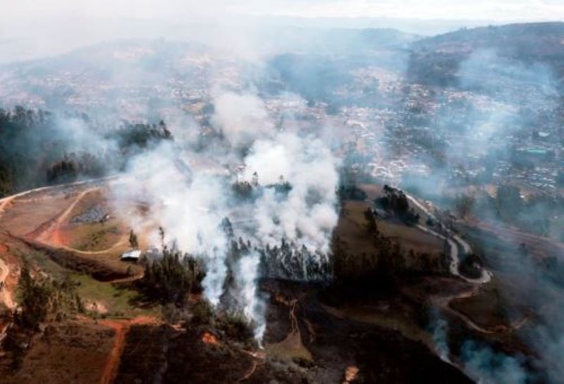  ¿Cuáles son las regiones afectadas por incendios forestales y qué hacer para protegerlas?