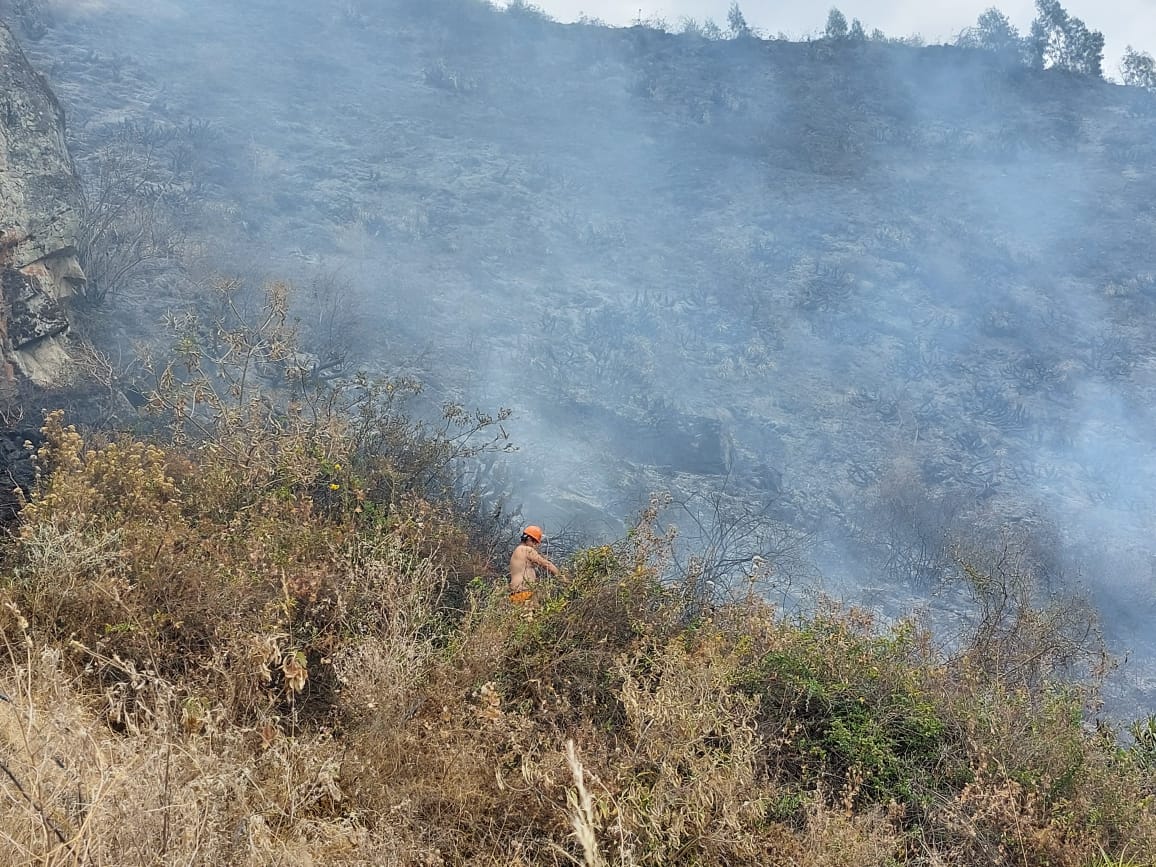 Áncash: incendios forestales arrasaron con 100 hectáreas en Tauca