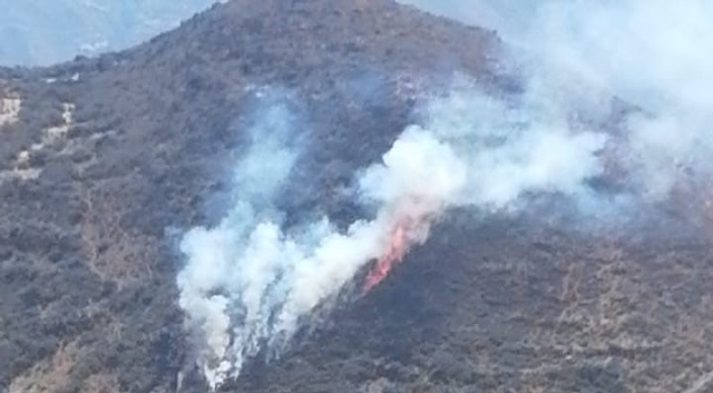 COER Áncash reportó un incendio forestal en distrito de Mangas de la provincia de Bolognesi
