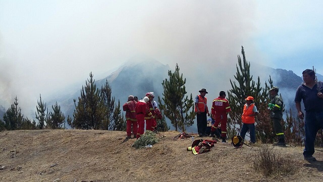 Agricultor sufrió quemaduras en la totalidad de su cuerpo en incendio que se produjo en Tauca
