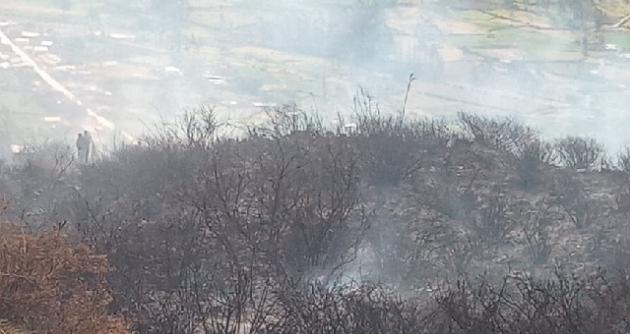 Áncash: incendio forestal causa daños en más de 9 hectáreas en el distrito de Huaylas