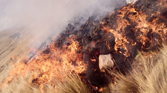 Incendio forestal arrasó con 30 hectáreas de pastos naturales en Cátac (Áncash)
