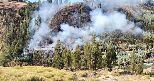 Ocho incendios forestales y dos urbanos se registraron en Áncash en las últimas 72 horas