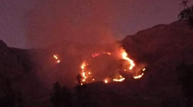 Áncash: incendio forestal consume flora y fauna en distrito de Cajay, en Huari