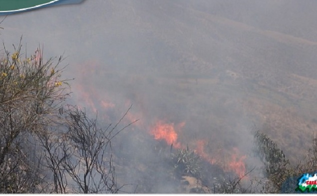 Caraz: serenos ayudan a controlar incendio forestal en caserío de Chosica