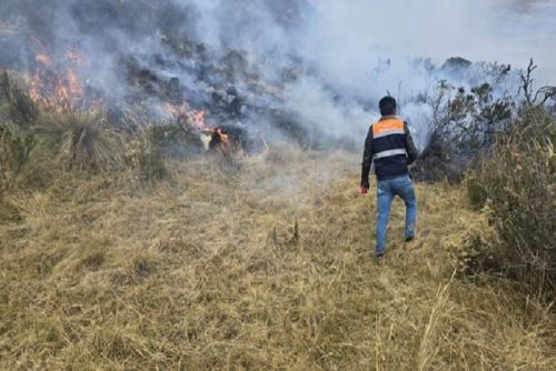 Extinguen 5 incendios forestales en Áncash, Cajamarca, Puno y Ucayali