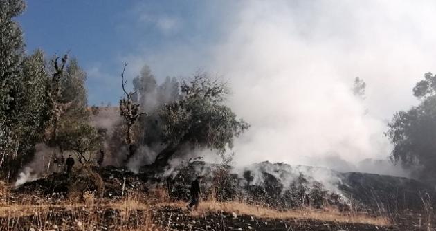 En lo que va del año se reportaron 70 incendios forestales provocados en Áncash