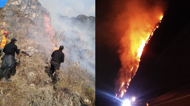 Alarmante: incendios forestales se incrementaron en 500% en Áncash