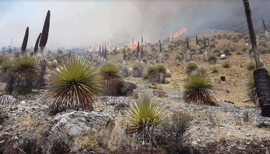 Incendios forestales impactan negativamente en los glaciares de Áncash