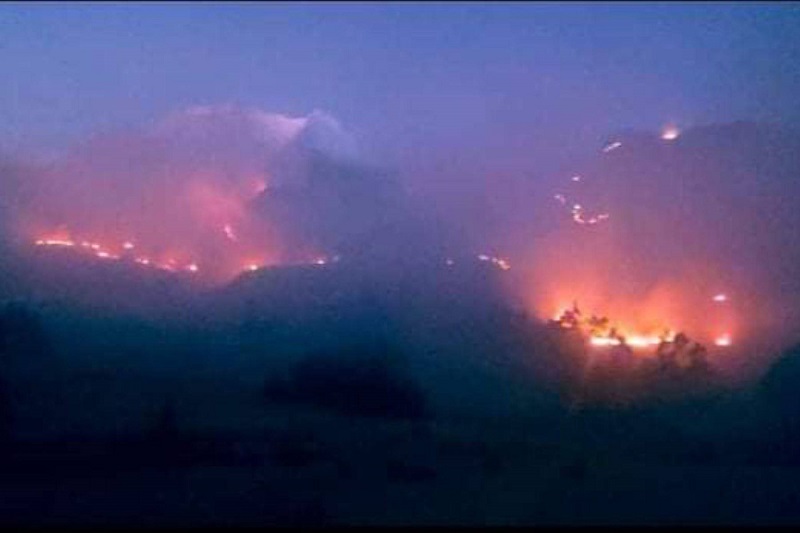 Incencio forestal arrasa 10 hectáreas de pastos naturales y bosques