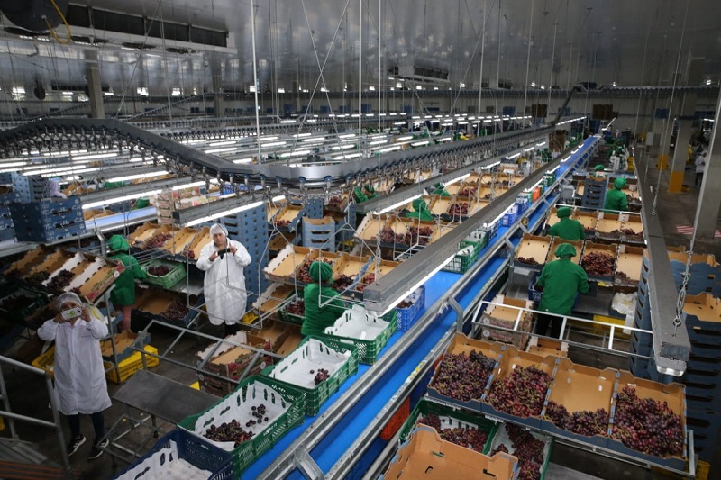 Ministra Cáceres: "Gobierno labora la voluntad política de proteger la vida y salud de los trabajadores"