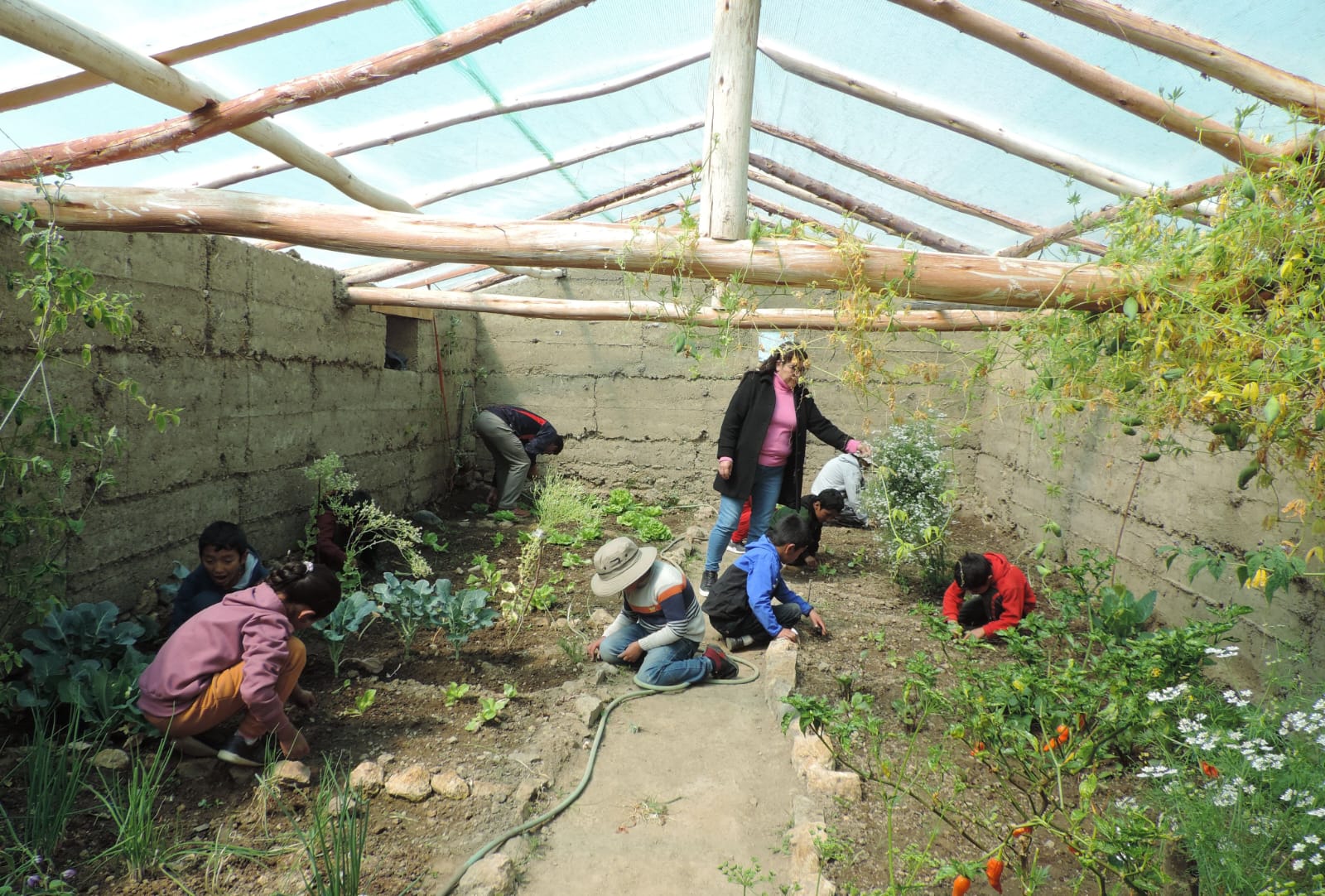 Áncash: Instalan invernadero en I. E. 86591 de Ranraucro para complementar desayunos escolares