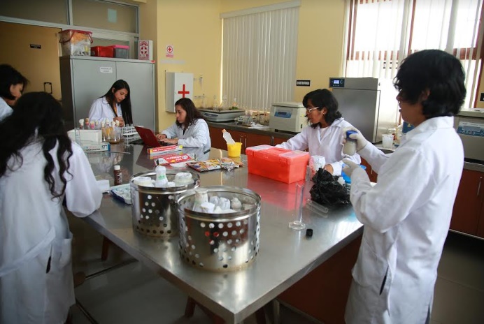 Este 20 de mayo inicia concurso de tesis para título profesional convocado por la UNS