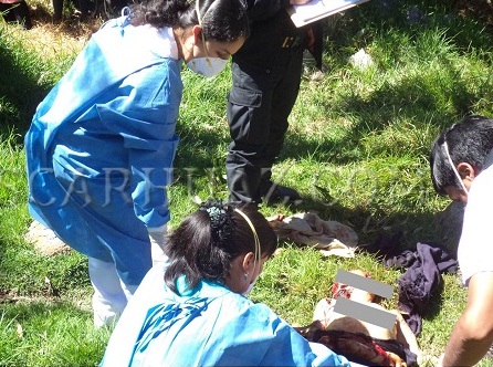 Horror en Carhuaz: Cuerpo de anciana fue devorada por una jauría