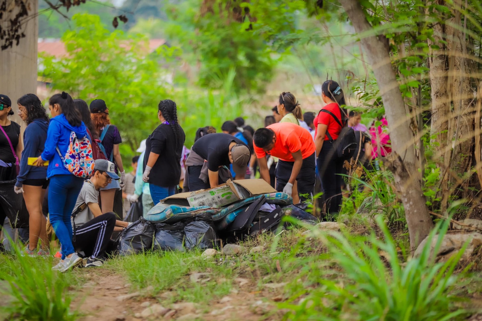 UCV destaca como líder en sostenibilidad ambiental universitaria según el RSAUP 2024