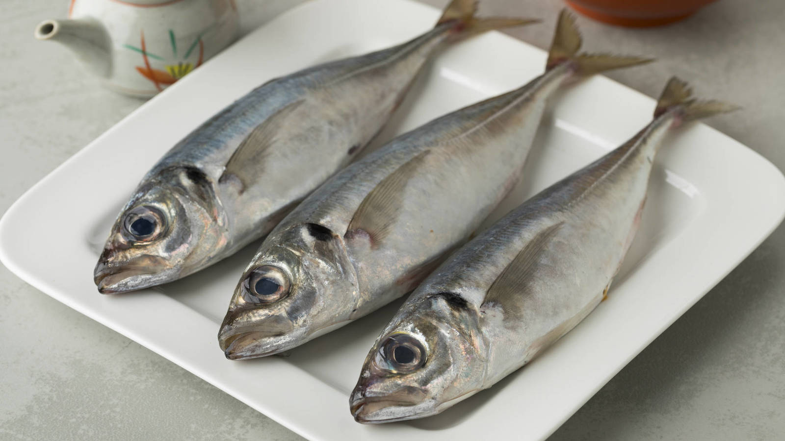 Nuevo sistema de control favorecerá la competitividad de pesca no tradiconal