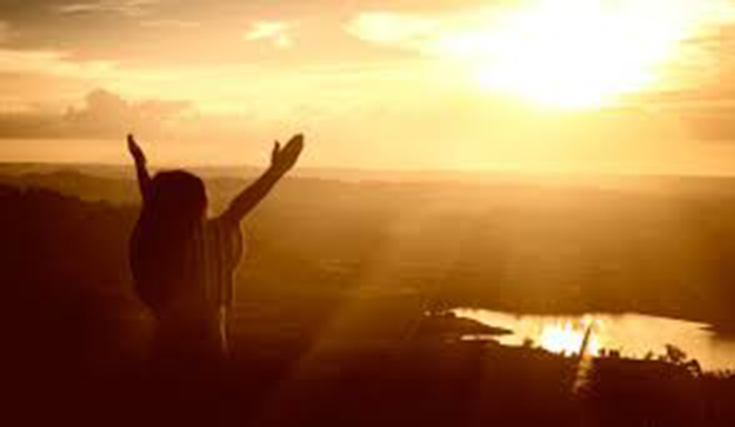 La gratitud es un don