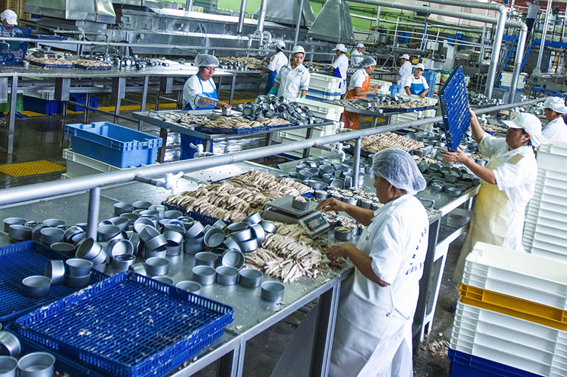 En el 2018: exportaciones generaron más de 3 millones 264 mil empleos