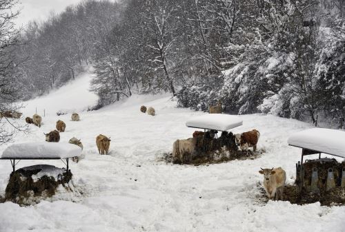 Advierten que lluvias continuarán hasta el 2 de abril en la sierra de Áncash y otros 13 departamentos