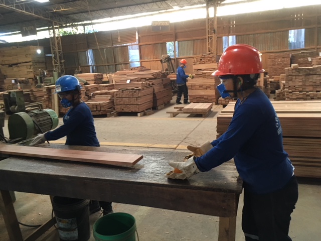 Entre enero y febrero exportaron 3 mil 880 empresas peruanas