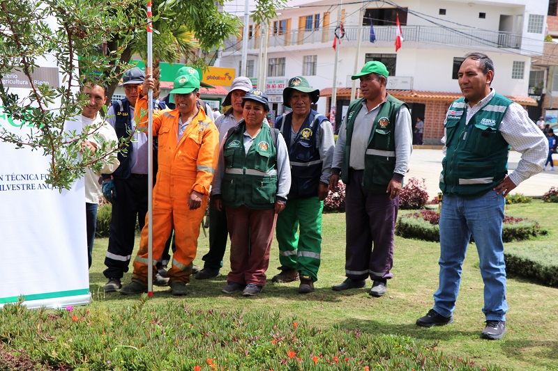 Huaraz: realizan jornada de manejo forestal en la plaza de armas y otros parques