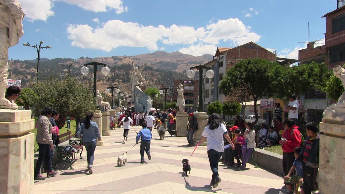 Independencia: municipio organizó concurso y caminata canina 