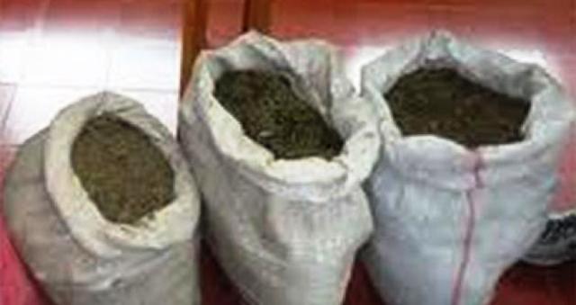 Áncash: policías hallan 40 kilos de marihuana en la carretera Chuquicara-Huarochirí