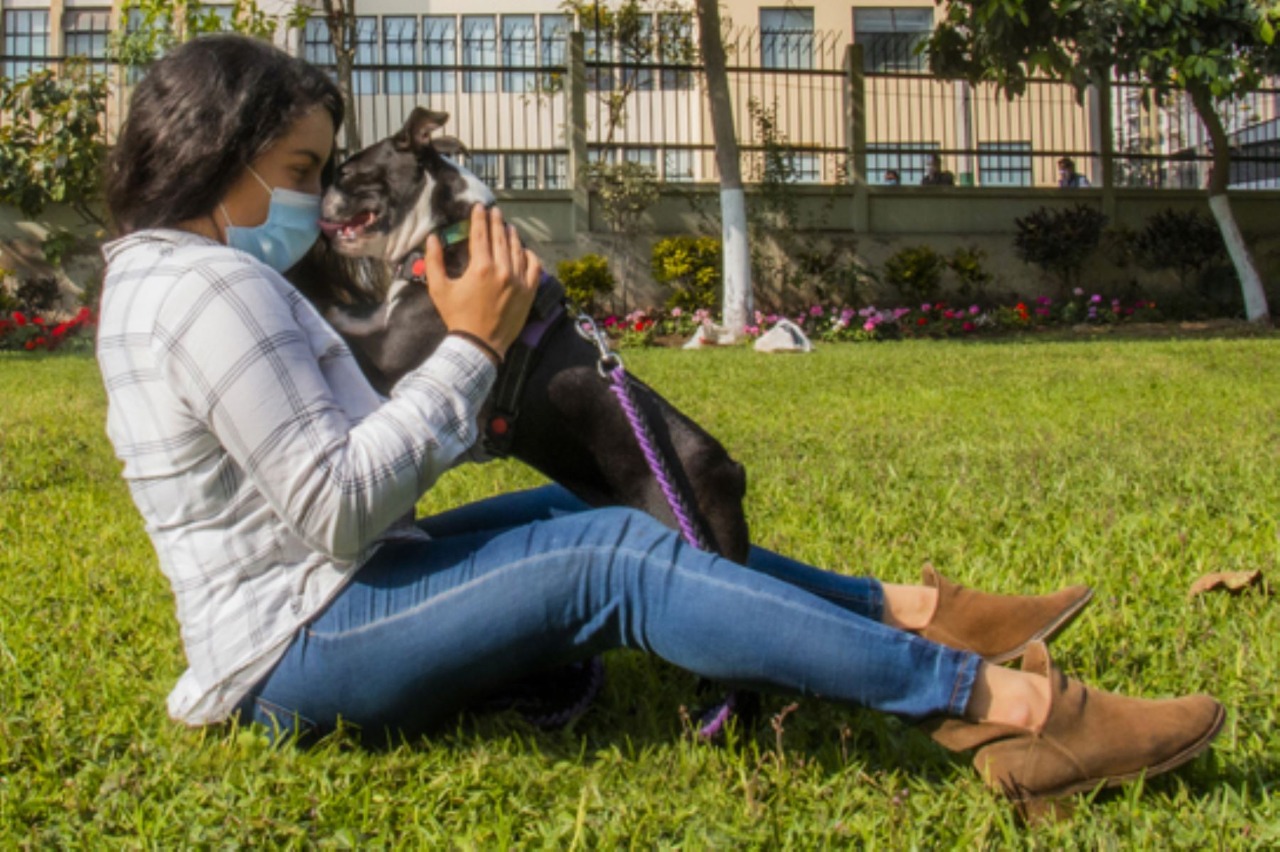 Minsa: Mascotas ayudan a reducir estrés, soledad y depresión en tiempos de covid-19