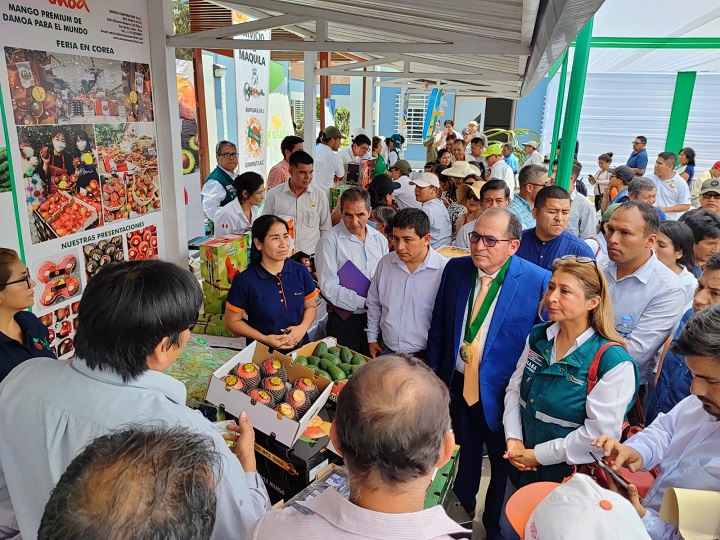 Casma: productores de mango y Senasa dan inicio a la campaña de exportación  