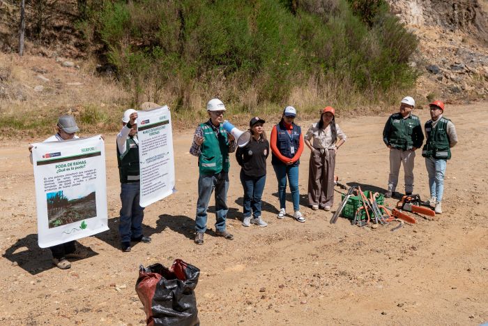 Áncash: Serfor capacita a pobladores en manejo forestal de plantaciones de pino