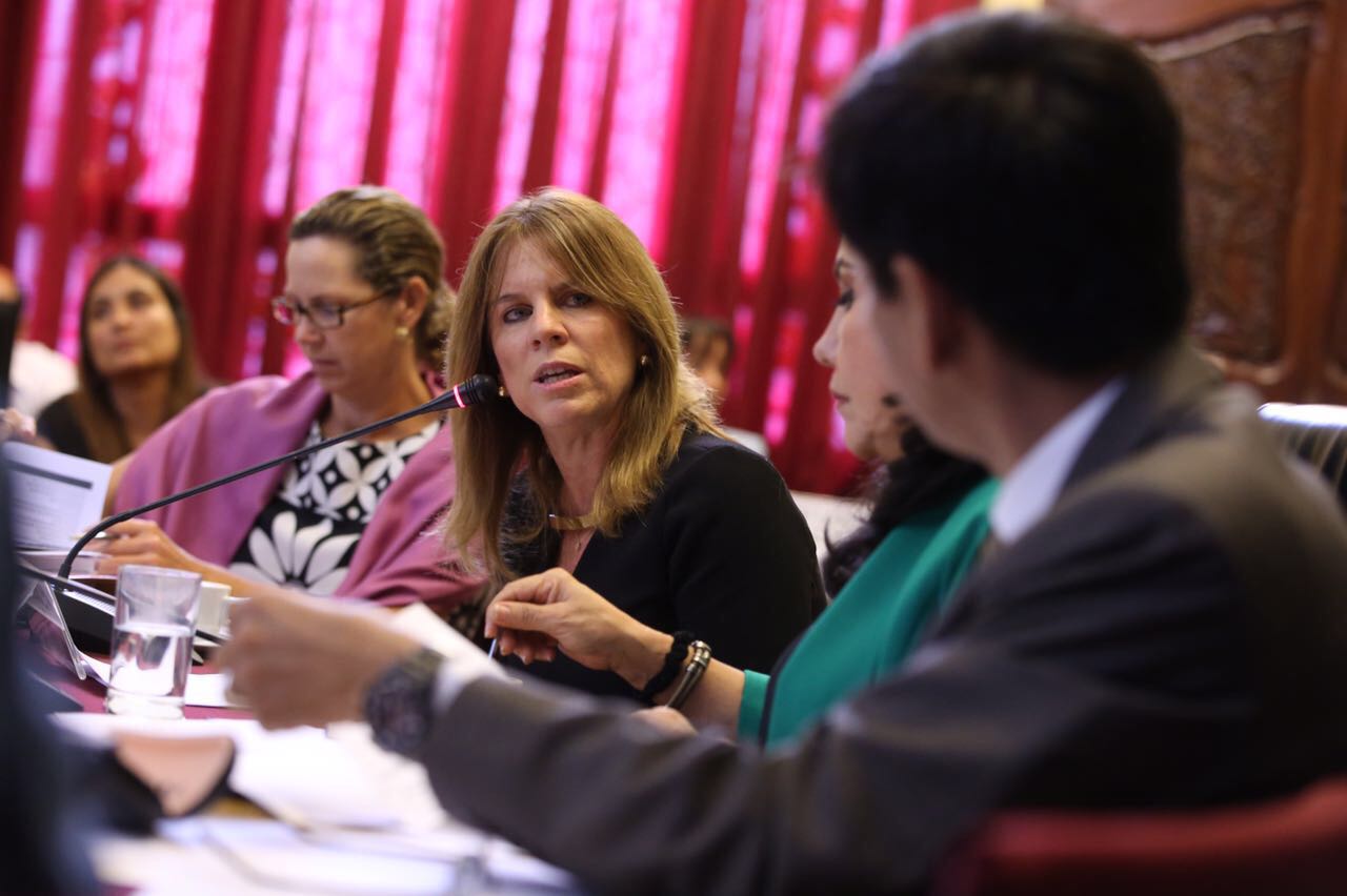 Ministra Aljovín expuso en el Congreso medidas para reducir la anemia y desnutrición crónica infantil