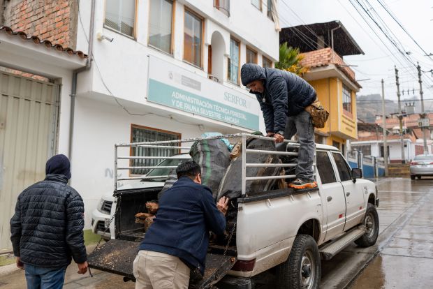 Áncash: Serfor transfiere más de 1300 kilos de palo santo a parroquia de Huaraz