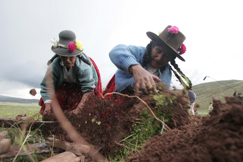 Reglamento de Ley contra violencia hacia las Mujeres promueve atención a peruanas de todas las razas