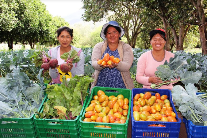 Unas 100 mil mujeres rurales trabajan en desarrollo de capacidades y lideran emprendimientos