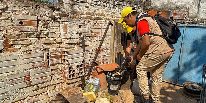 Hoja informativa sobre el dengue en las Américas