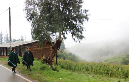 Instan a tomar precauciones por ola de frío en  localidades de la costa, sierra y selva