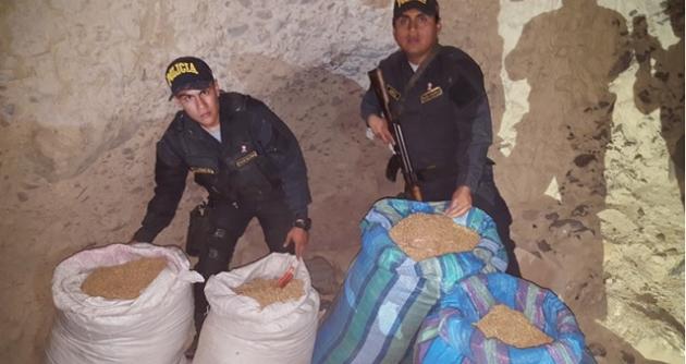 Hallan 65 kilos de marihuana escondidos en una cueva en Chuquicara