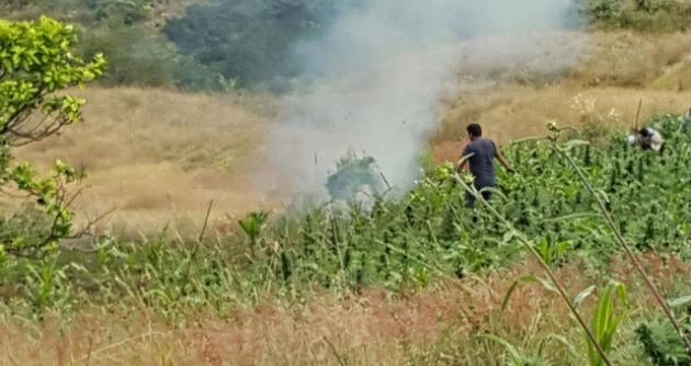 Pallasca: la Policía incineró más de 26 mil plantones de marihuana