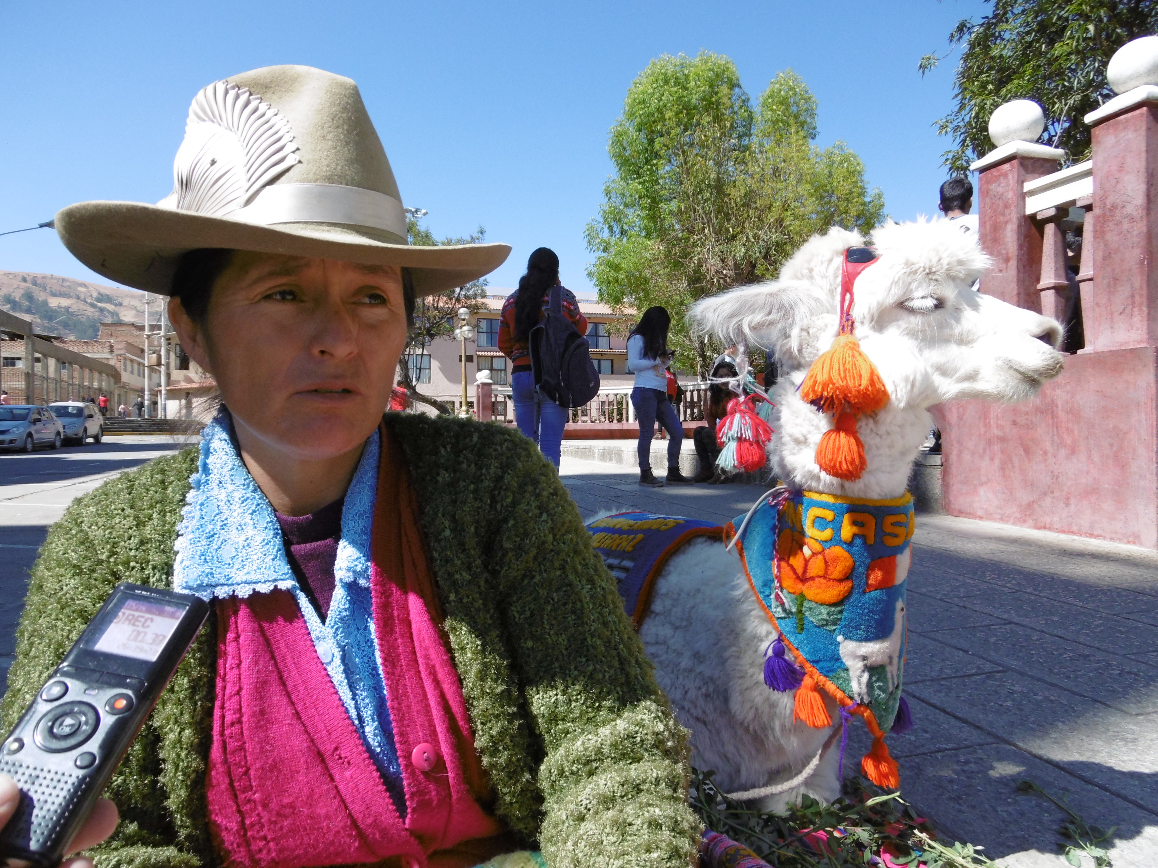 Continúan amenazas en contra de campesinas y sus alpacas en Huaraz