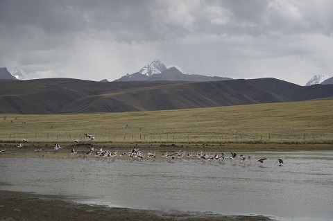 Continuarán lluvias localizadas en la sierra de Áncash, reporta el Inaigem